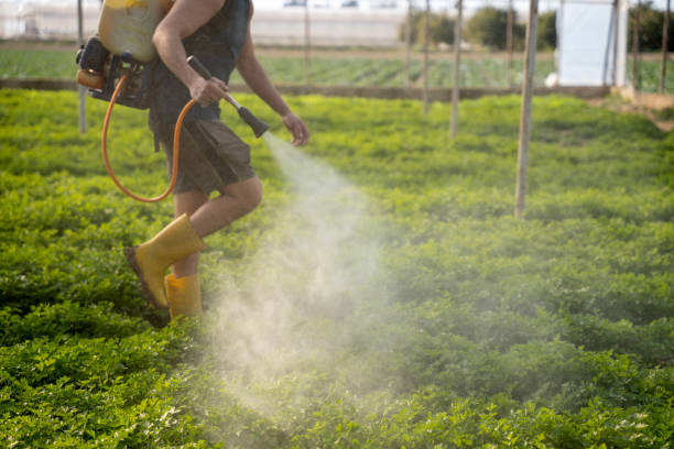 Best Mosquito Control Services  in Bloomfield, MO
