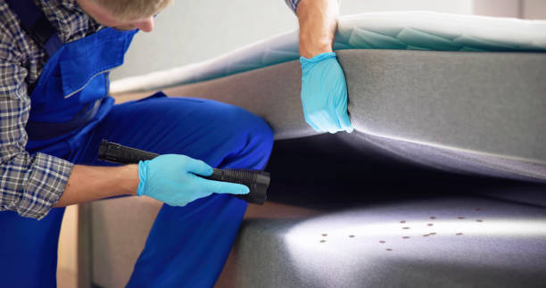 Best Bed Bug Extermination  in Bloomfield, MO